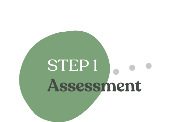 Assessment